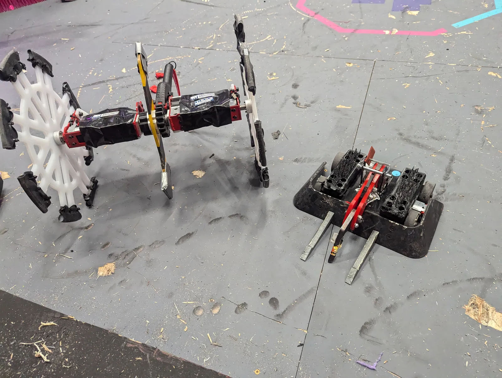 Creature shows almost no damage after its fight with Slam Plan at NHRL World Championships 2024